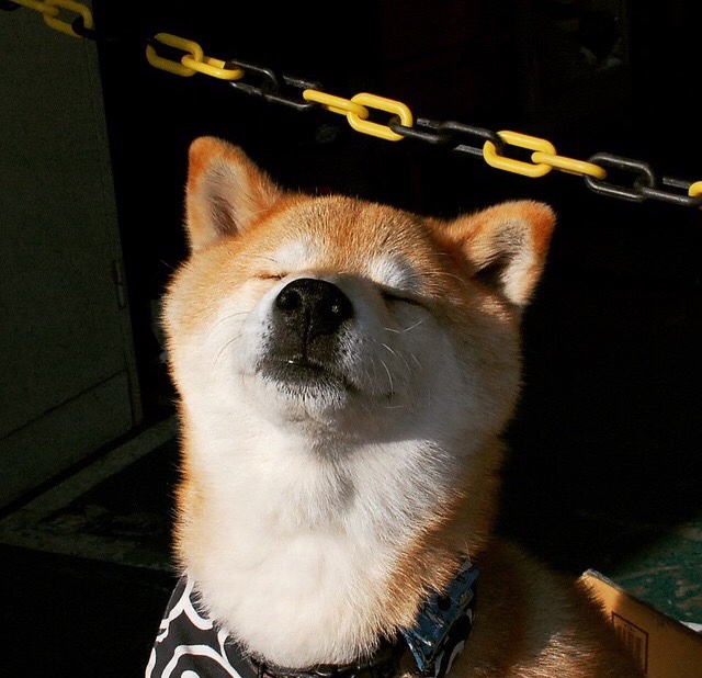 九游下载中心-比赛悬念：谁会成为本轮最大黑马？，比赛悬念_谁会成为本轮最大黑马奖