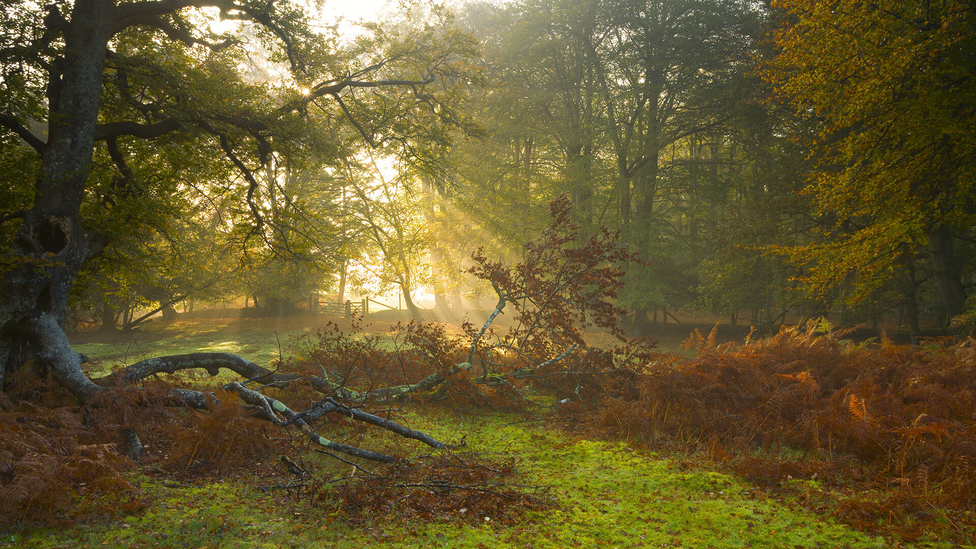 九游下载官网-电竞产业发展趋势：移动电竞、云游戏与虚拟现实，移动电竞行业的现状