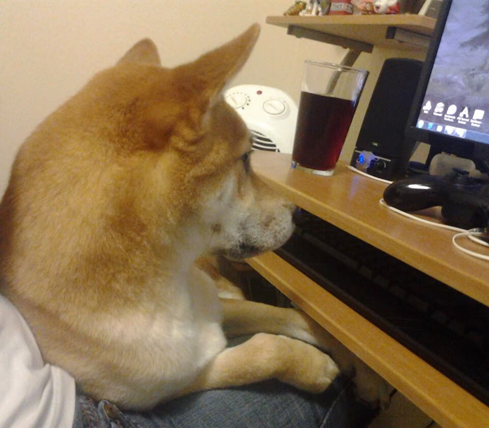 九游（jiuyou.com）游戏-西班牙成功举办国际马术科技论坛，汇聚全球专家探讨马术未来发展。