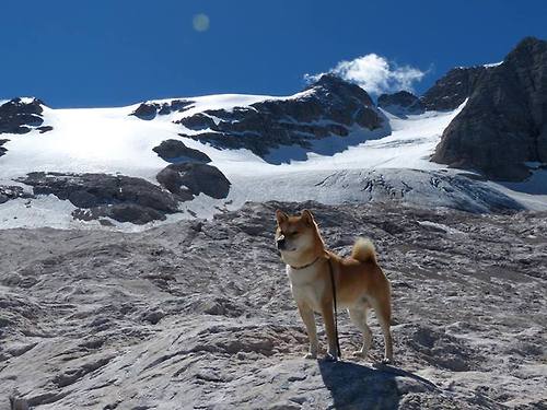 巴萨卫冕之路强劲!梅西绝杀,全队晋级,巴萨官方致敬梅西