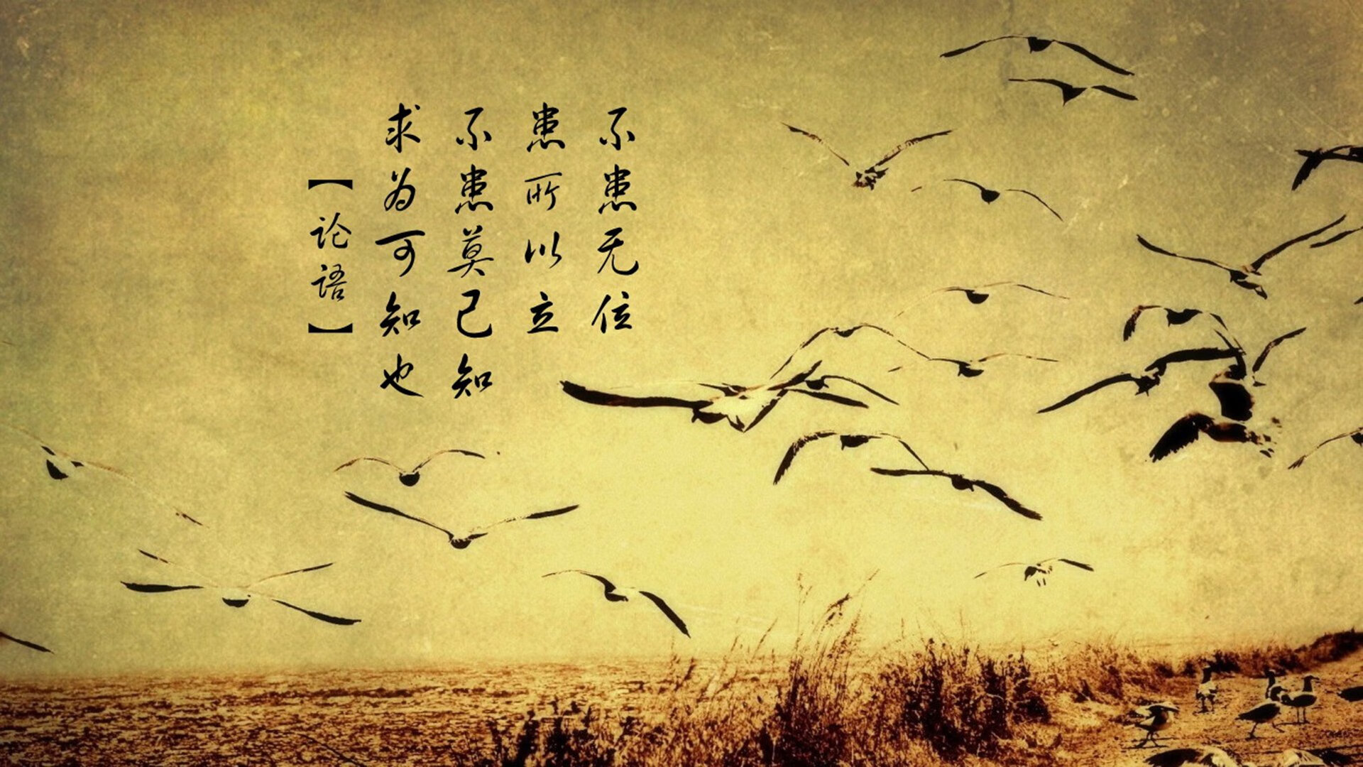 德国与荷兰展开激烈战役，争夺晋级机会，荷兰和德国历史战绩