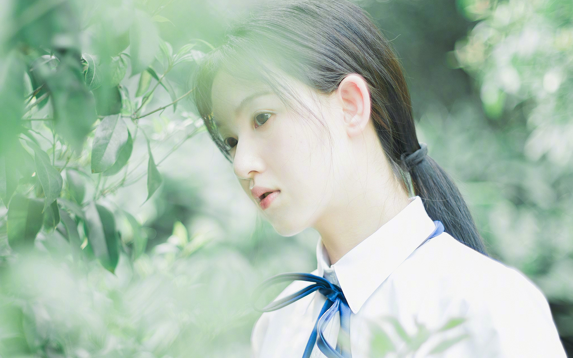 九游娱乐官网 (jiuyou)-洛杉矶FC计划举办青少年足球训练营，培养未来之星，洛杉矶fc足球俱乐部