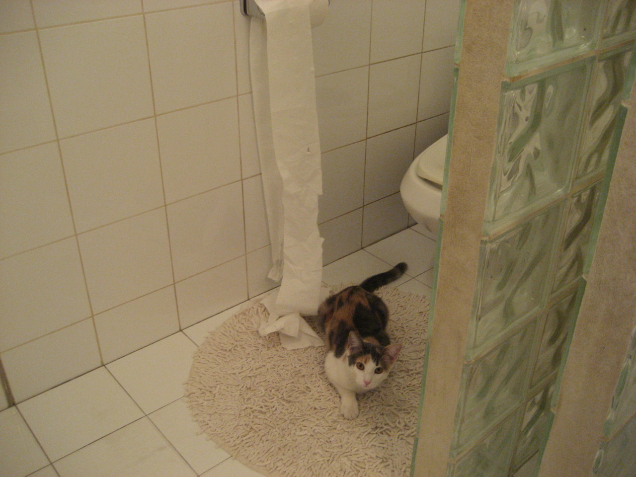 九游登录入口-神秘黑马逆袭，力压豪强一举逆转胜局！，神奇的黑马