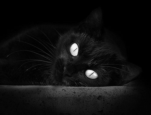 苏格兰小胜塞尔维亚，策略变动带来意想不到的胜利，苏格兰vs塞尔维亚足球世预赛