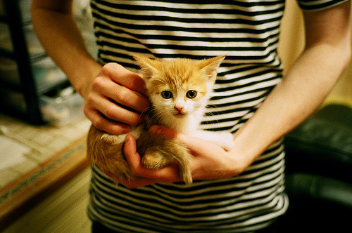 足球传奇球员访问意大利联赛,传授经验,足球传奇球员访问意大利联赛,传授经验是什么