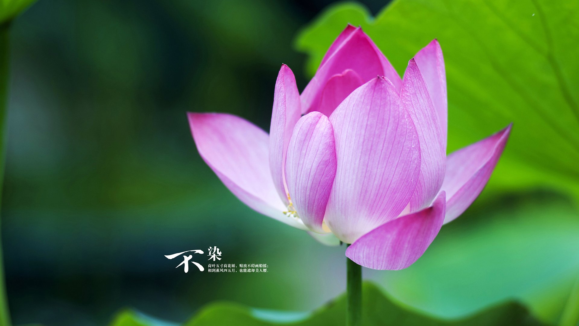 英格兰骑手乔治·泰勒在巴黎奥运会三项赛中获得第十一名，创造个人最佳成绩。