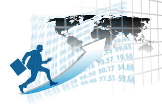 九游娱乐(jiuyou)官方网站-中国篮球职业联赛赛事运营风险评估与管理对策，篮球赛事安全风险