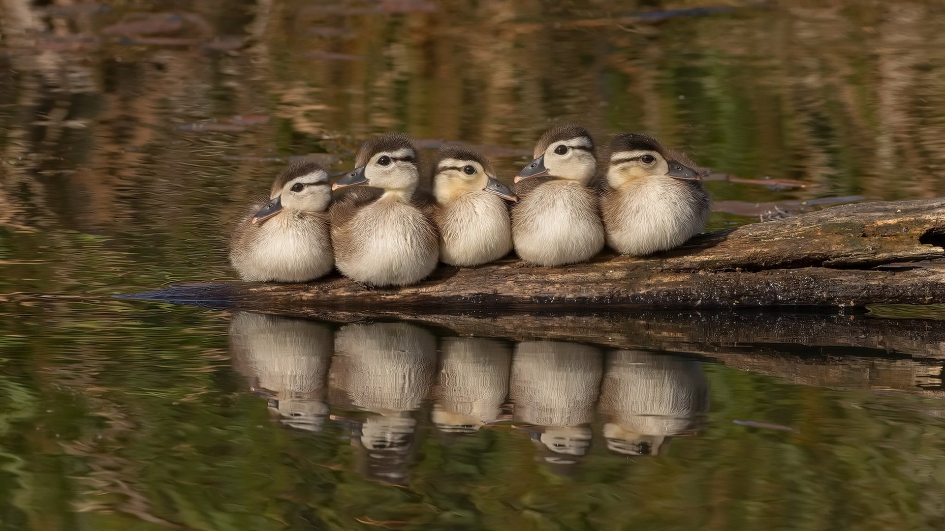 中小学体育课程教学评价体系创新，中小学体育教学课程设计