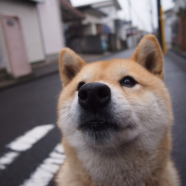 亚洲杯中国女足夺冠 球员拼搏感动全场，中国女足本届亚运得分