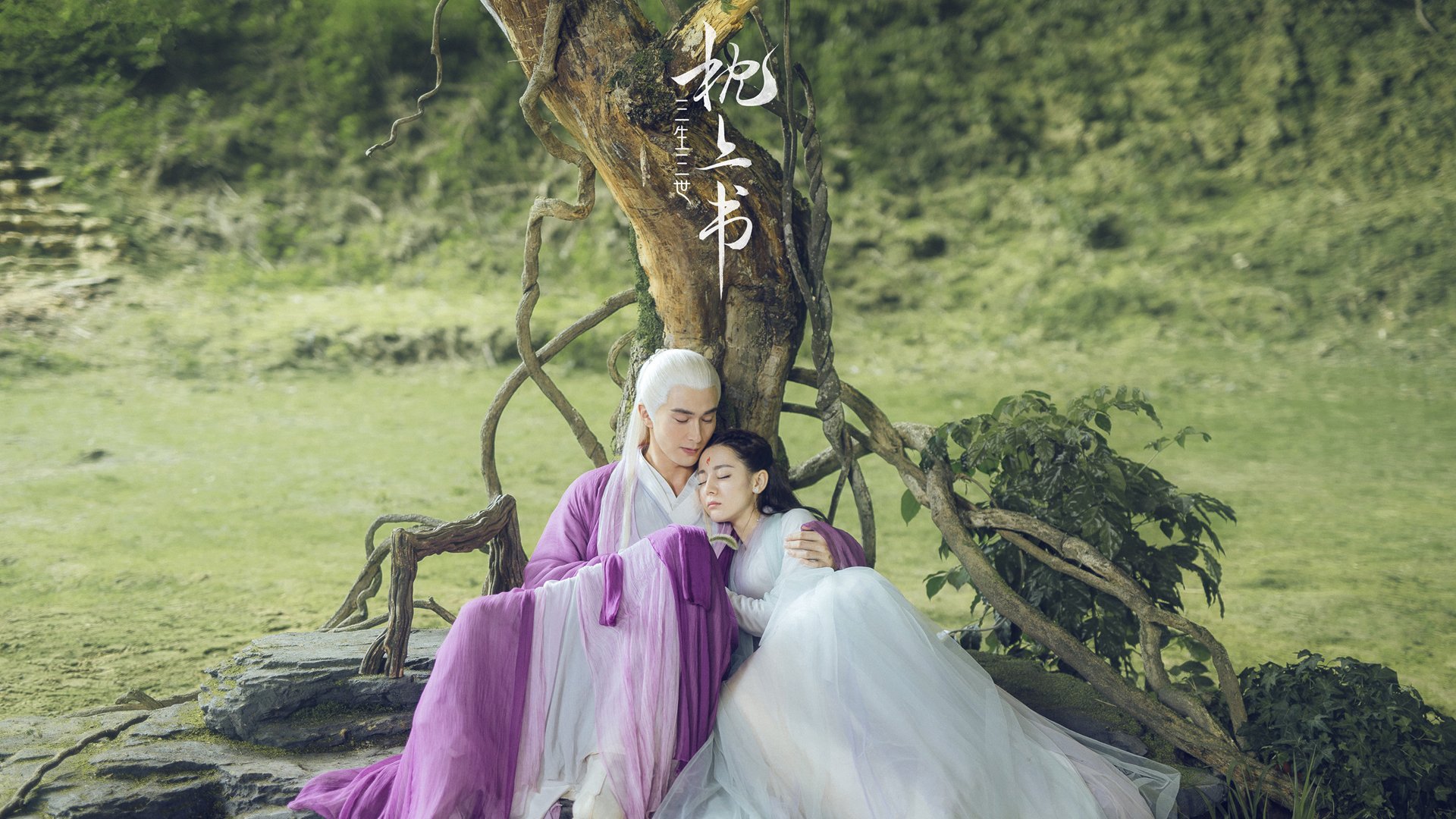 2026世界杯:场馆融合未来科技,观众体验空前提升,2026年世界杯球场