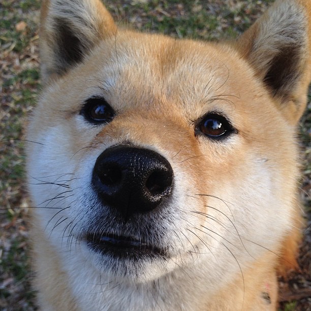 世界杯精彩不断:每一秒都令人心跳加速!,世界杯精彩集锦视频