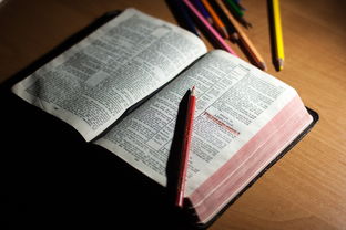 九游9游-体育教师能力认证制度在试点城市启动，体育教师资格证认定条件