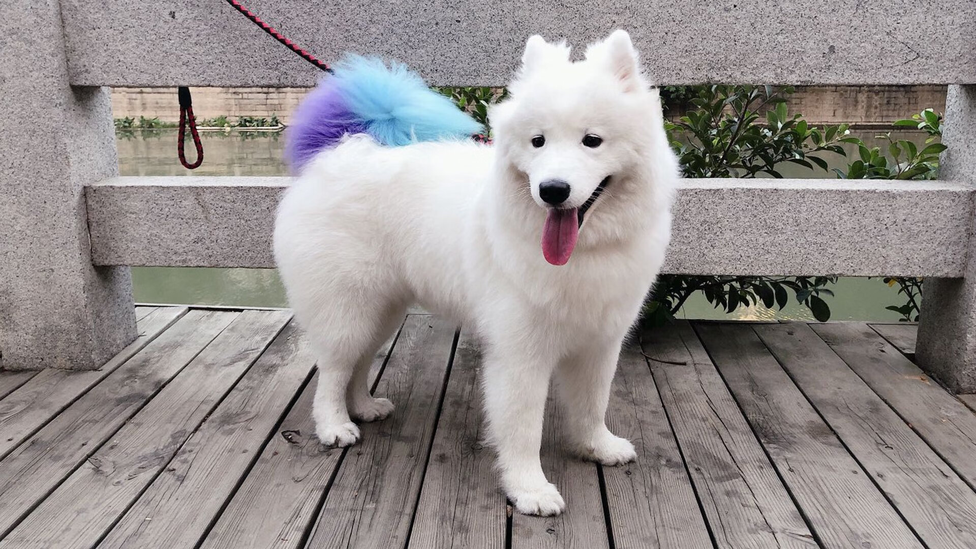 九游APP官网-意甲激情对冲：攻守大演练，激烈非常，意甲球迷冲场