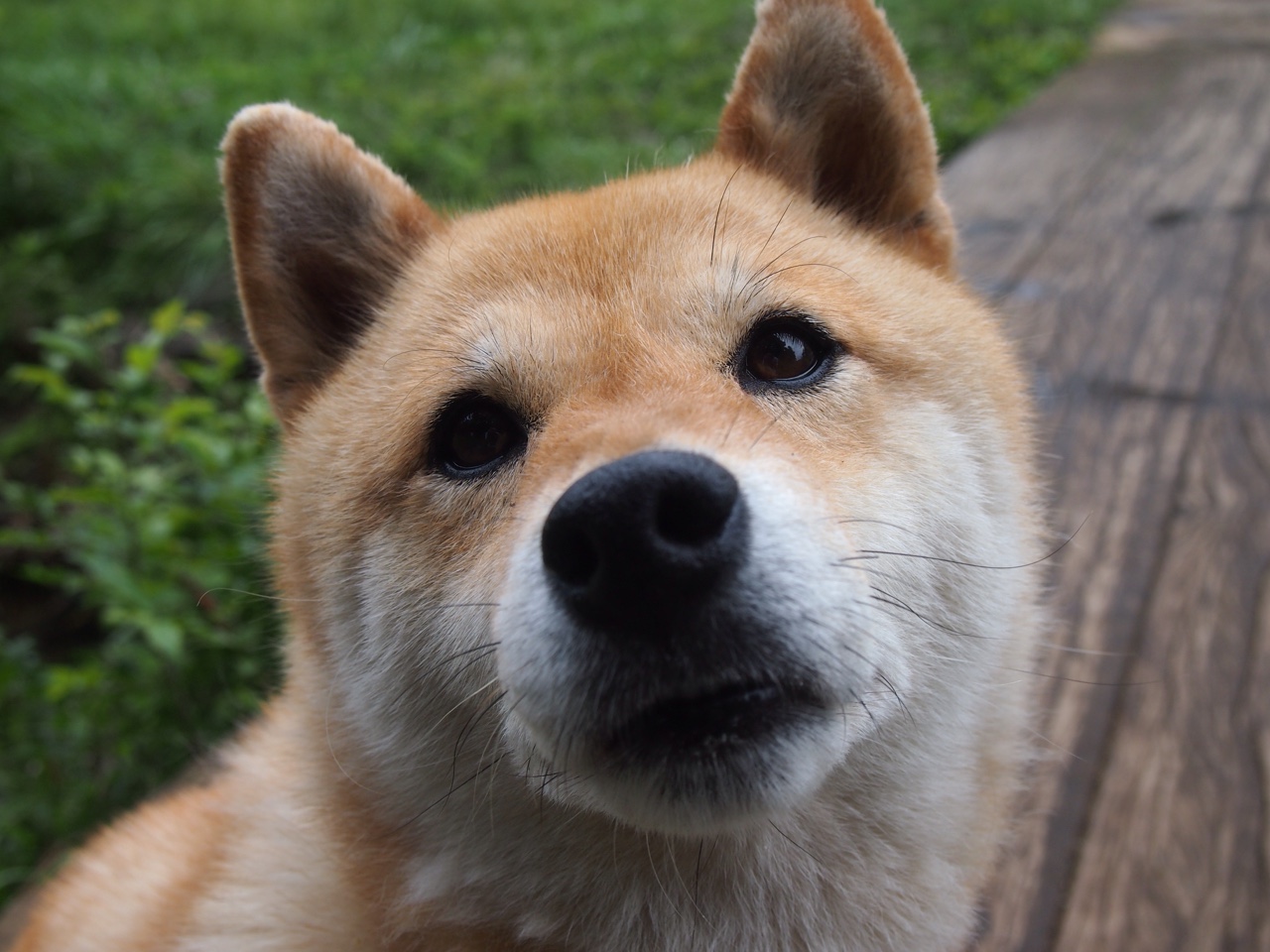 足球联赛推广校园公益活动受好评，足球活动宣传推文